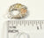 925 Sterling Silver & 10K Gold Accent Leaves Design Circle Pendant (1.7G)-187288