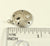 Vintage 925 Sterling Silver Sand Dollar Design Charm Pendant (2.6G)